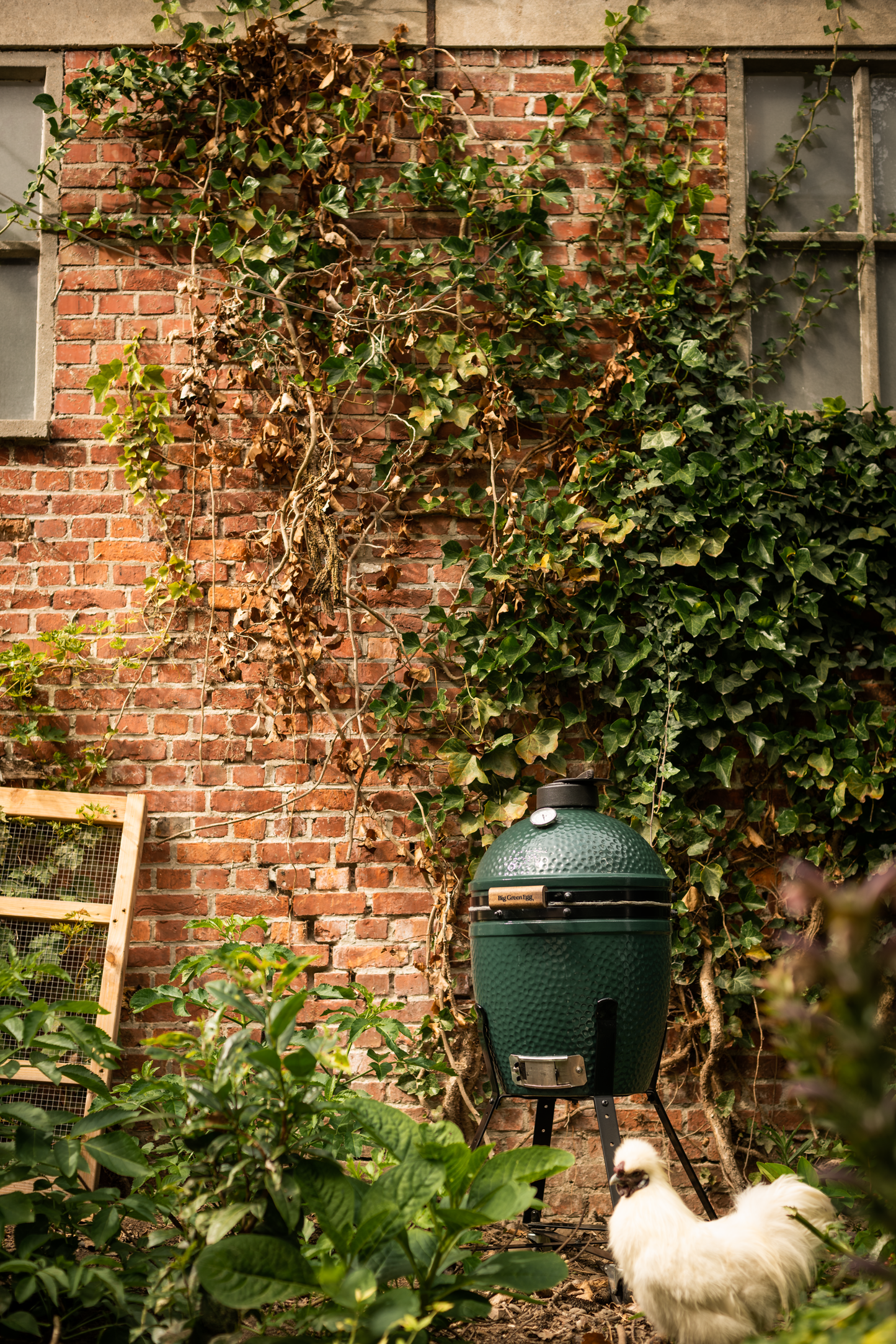Small Big Green Egg